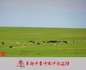 老驥伏櫪，志在千里 單騎穿越中蒙、中俄、中朝邊陲游記與攻略